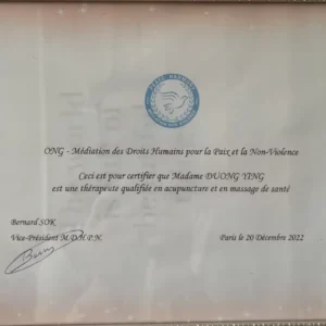 yanzi institut tuina an mo bordeaux massages solo duo sauna detente mtc medecine traditionnelle chinoise diplome 02